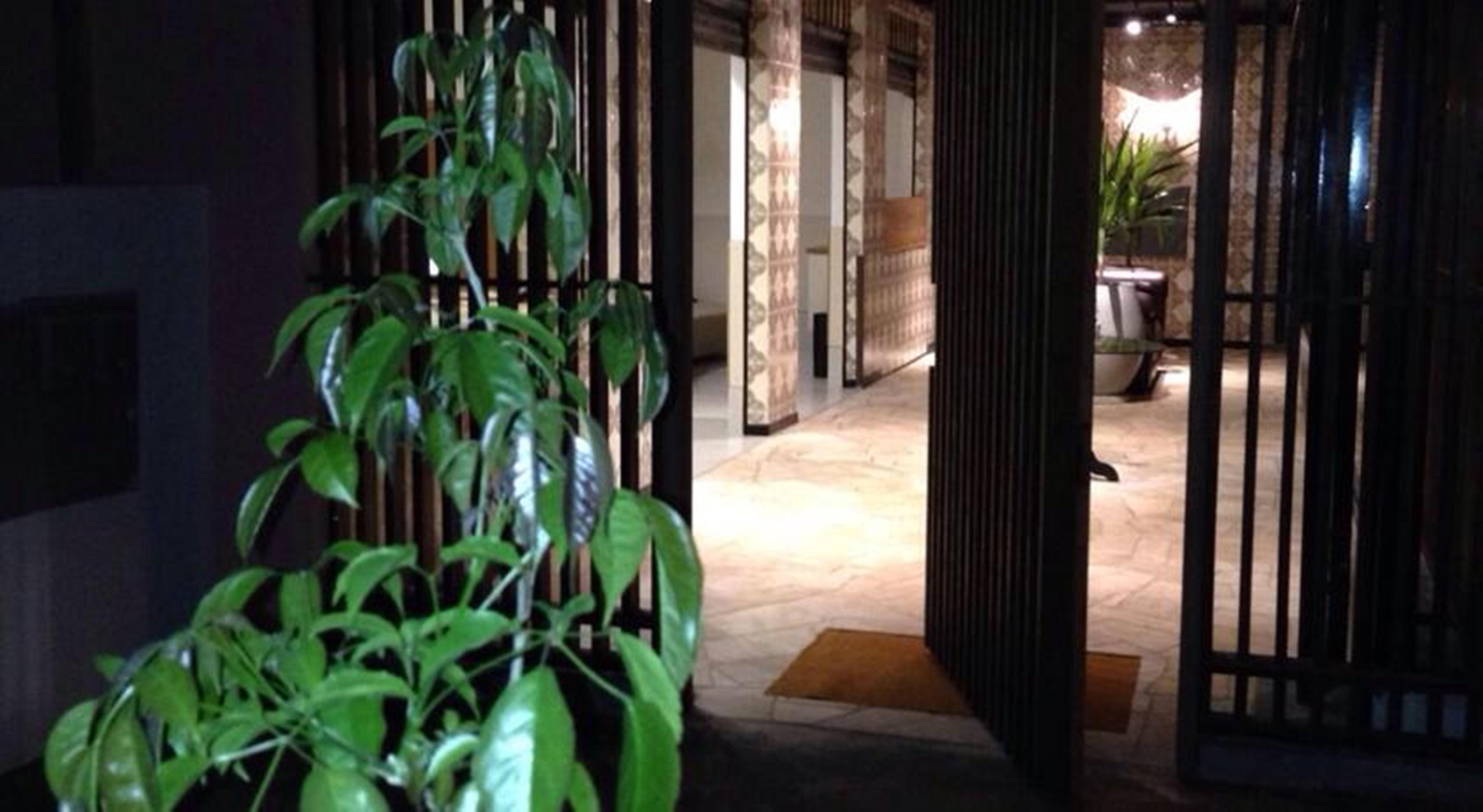 Vespasiano Hotel Telêmaco Borba Zewnętrze zdjęcie